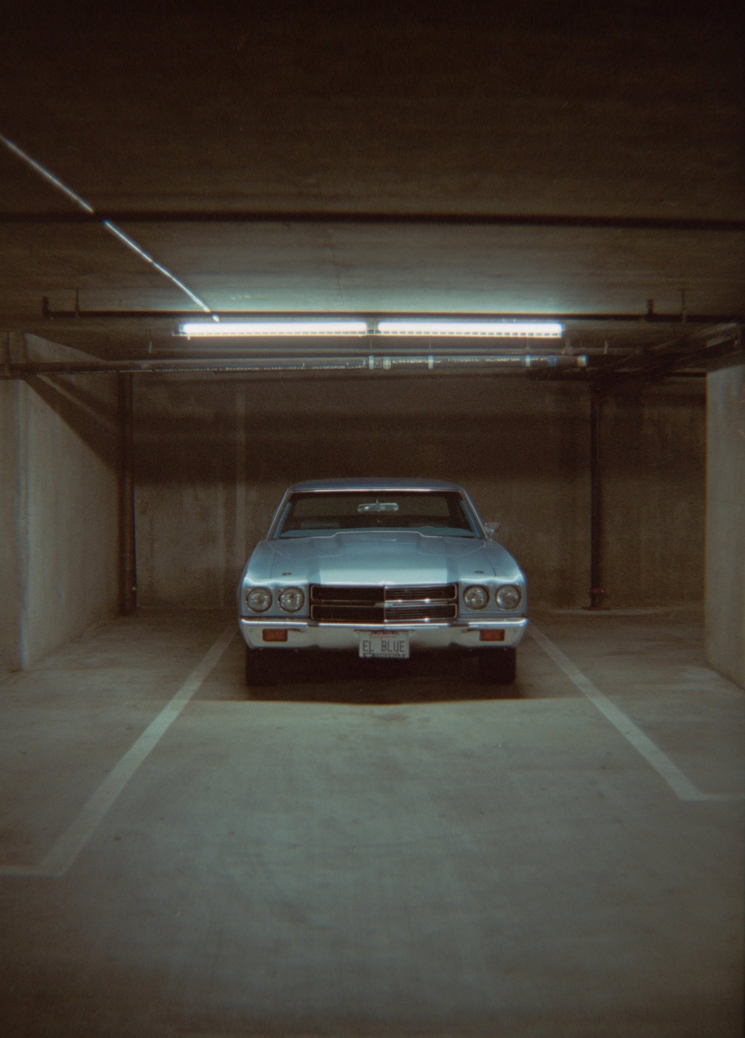 Rides On Rolls: NFT